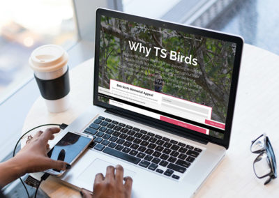 Why TS Birds