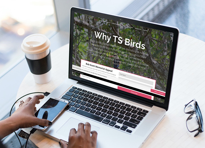 Why TS Birds